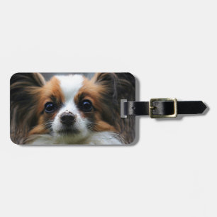 Etiqueta De Bagagem Retrato do cão purebred Papillon