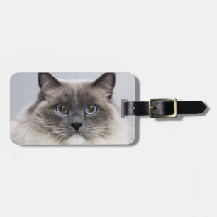 Etiqueta De Bagagem Retrato do gato de Ragdoll