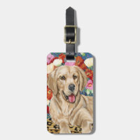 Retriever ouro Boy