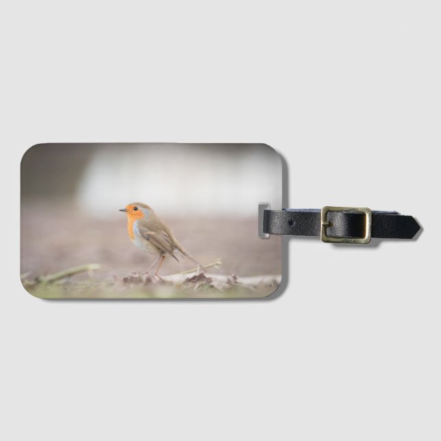 Etiqueta De Bagagem Robin Bird Nature Foto (Frente Horizontal)