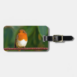 Etiqueta De Bagagem Robin Natal