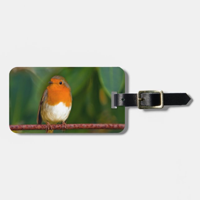 Etiqueta De Bagagem Robin Natal (Frente Horizontal)