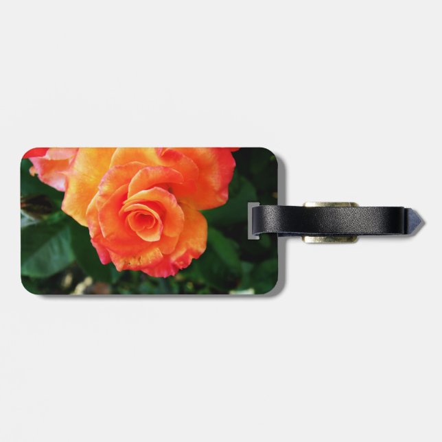 Etiqueta De Bagagem Rosa laranja (Traseira Horizontal)