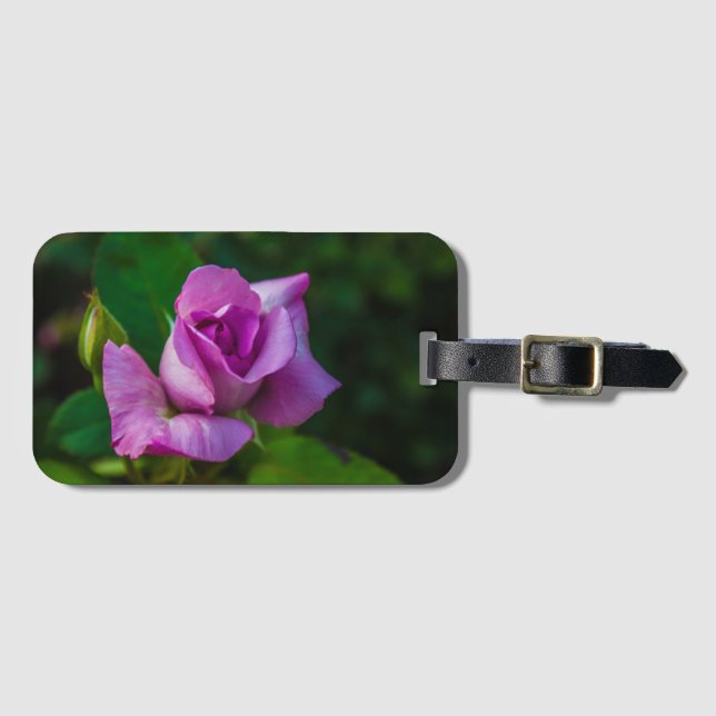 Etiqueta De Bagagem Rosa púrpura (Frente Horizontal)