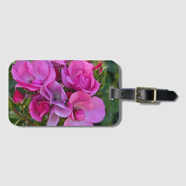 Etiqueta De Bagagem Rosa Rosa Rosa lavanda (Frente Horizontal)