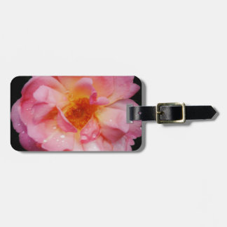 Etiqueta De Bagagem Rosa Rosa Rosa Rosa Cor-de-Rosa com Guias Negras