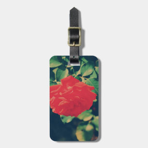 Etiqueta De Bagagem Rosa vermelha