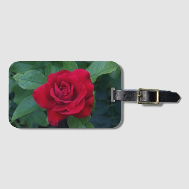 Etiqueta De Bagagem Rosa Vermelha de Perto (Frente Horizontal)