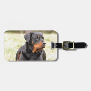 Etiqueta De Bagagem Rottweiler