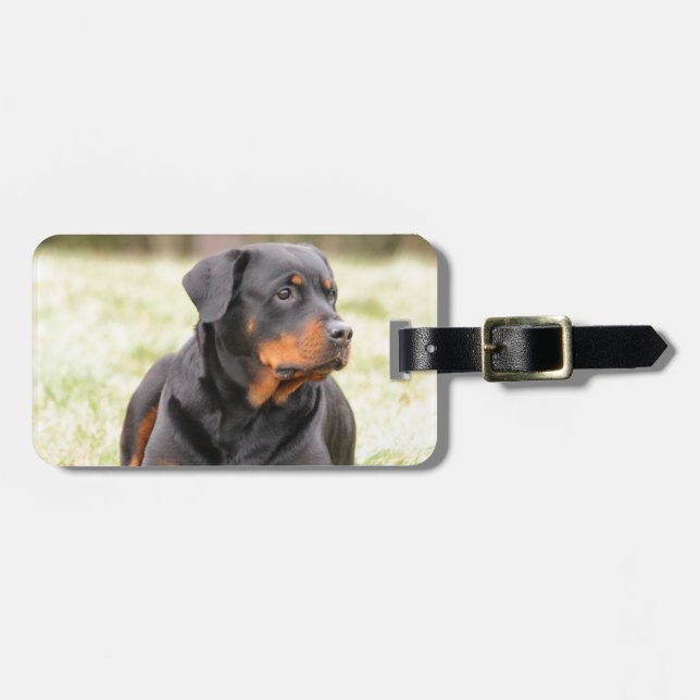 Etiqueta De Bagagem Rottweiler (Frente Horizontal)