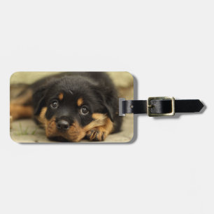 Etiqueta De Bagagem Rottweiler20150901