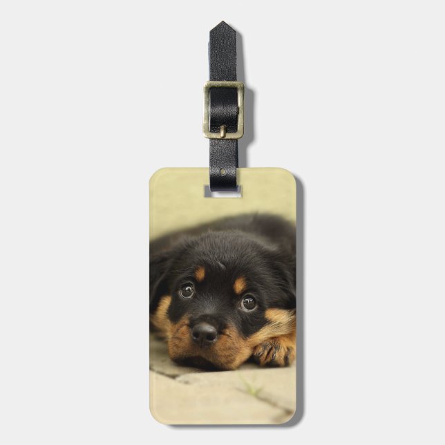 Etiqueta De Bagagem Rottweiler20150901 (Frente Vertical)