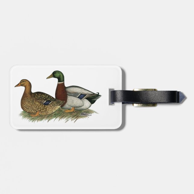 Etiqueta De Bagagem Rouen Ducks (Traseira Horizontal)