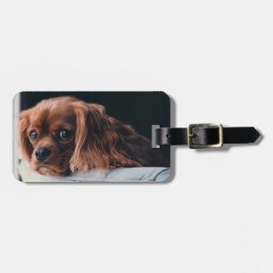 Etiqueta De Bagagem Ruby Cavalier Rei Charles Spaniel