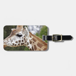 Etiqueta De Bagagem Safari Africa Mod Chic Classy Destiny Giraffe