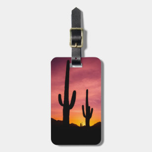 Etiqueta De Bagagem Saguaro cactus no nascer do sol, Arizona