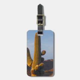 Etiqueta De Bagagem Saguaro Cactus Sunlit Personalizável