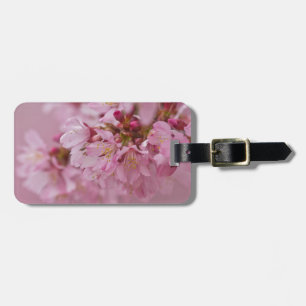 Etiqueta De Bagagem Sakura Cherry Blossoms Rosa Pálido Reflexões