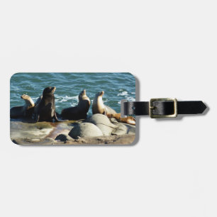 Etiqueta De Bagagem San Diego Sea Lions