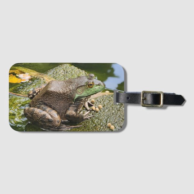 Etiqueta De Bagagem Sapo - Velho Coaxador (Frente Horizontal)