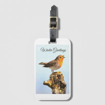 Saudações de Inverno. Robin cantando 