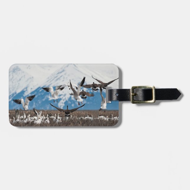 Etiqueta De Bagagem Scattering Geese (Frente Horizontal)