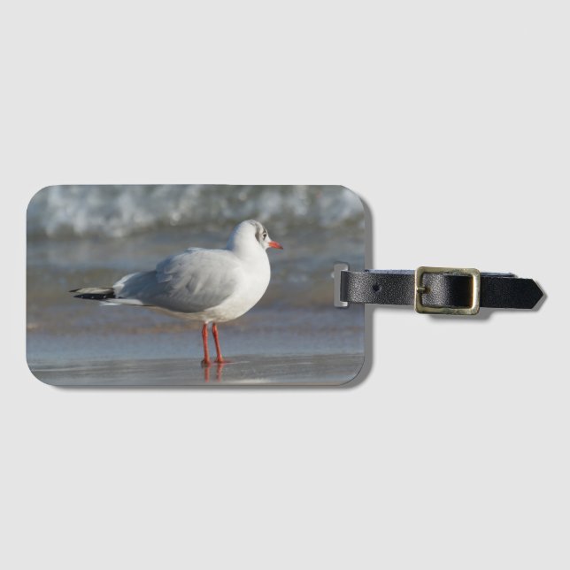 Etiqueta De Bagagem Seagull (Frente Horizontal)