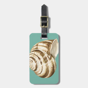 Etiqueta De Bagagem Sepia Striped Shell em Teal