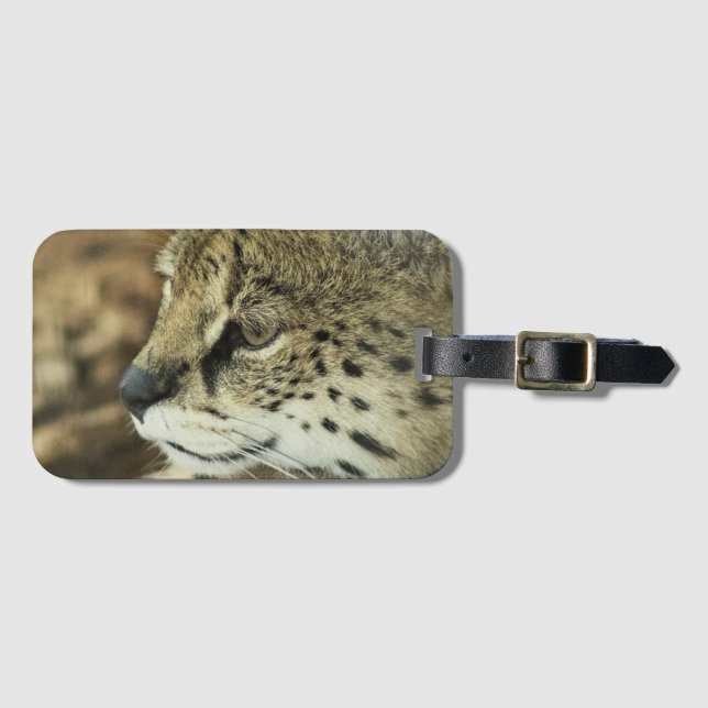 Etiqueta De Bagagem Serval (Frente Horizontal)
