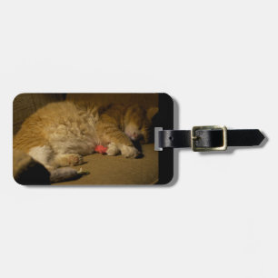 Etiqueta De Bagagem Sesta do gato