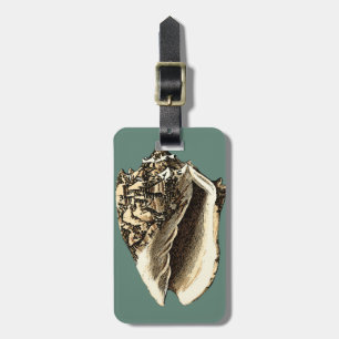 Etiqueta De Bagagem Shell Teal Conch