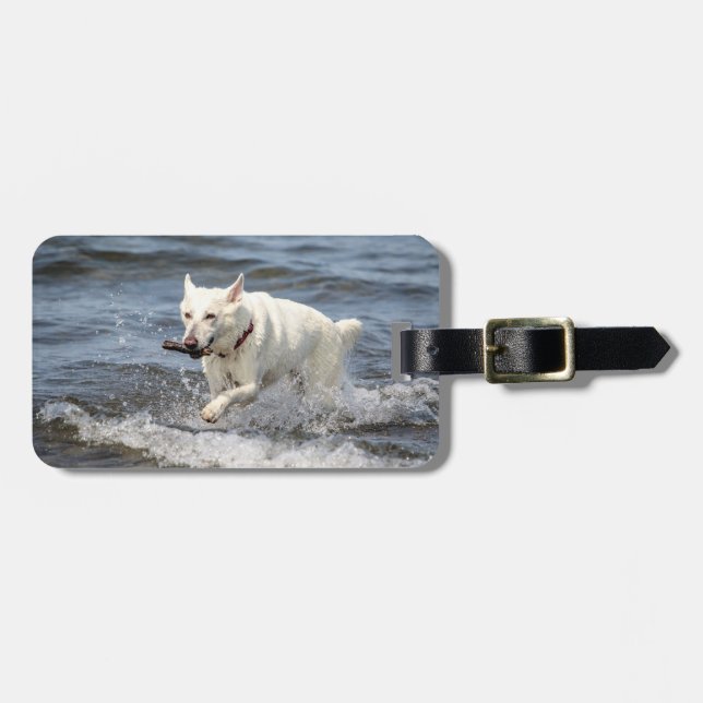 Etiqueta De Bagagem Shepard alemão branco no lago George (Frente Horizontal)