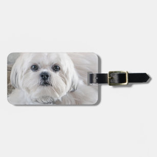 Etiqueta De Bagagem Shih Tzu