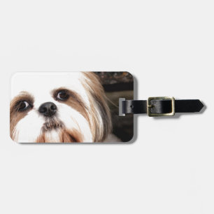 Etiqueta De Bagagem Shih Tzu