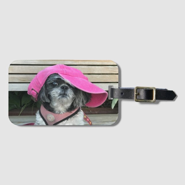 Etiqueta De Bagagem Shih Tzu Tramp Sag (Frente Horizontal)