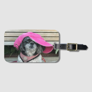 Etiqueta de Bagagem Shih Tzu Vagabundo
