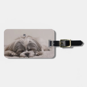 Etiqueta De Bagagem Shiz tzu Sleeping Lucía Tag, Sleeping Dog