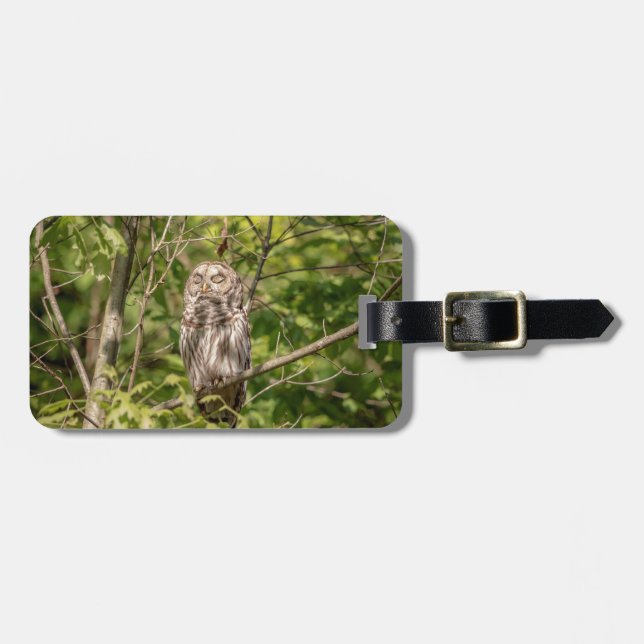 Etiqueta De Bagagem Sleepy Barred Owl (Frente Horizontal)