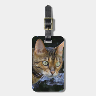 Etiqueta De Bagagem Sneaking Bengal Cat