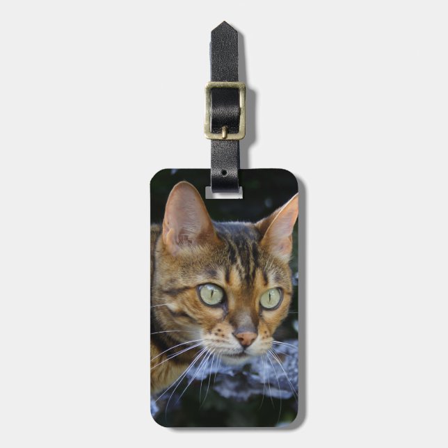 Etiqueta De Bagagem Sneaking Bengal Cat (Frente Vertical)