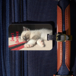 Etiqueta De Bagagem Som Dormindo Fotografia de Kitten Simeso