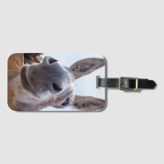 Etiqueta De Bagagem Sorriso de burro com Bobo