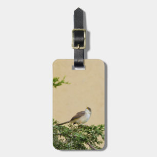 Etiqueta De Bagagem Sparrow