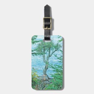 Etiqueta De Bagagem Spirit Tree Lake Superior Easy ID Personal