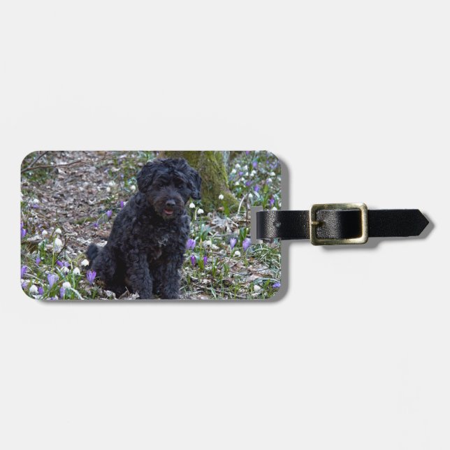 Etiqueta De Bagagem Springer Spaniel Inglês Preto (Frente Horizontal)