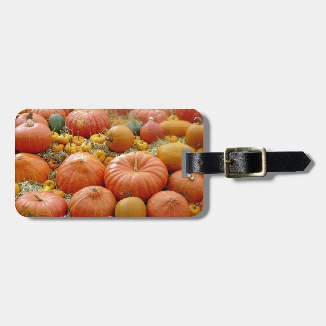 Etiqueta De Bagagem Squashes Galore (Frente Horizontal)