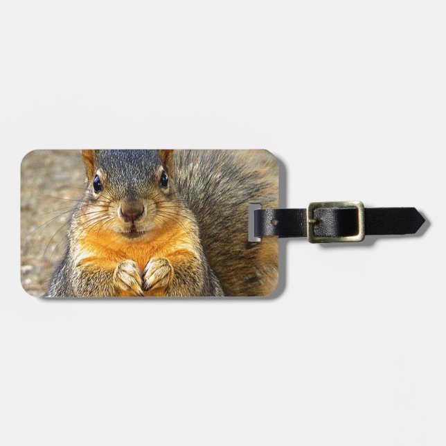 Etiqueta De Bagagem Squirrel Love (Frente Horizontal)