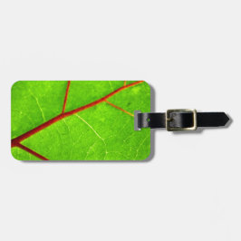 Etiqueta De Bagagem St Thomas 1