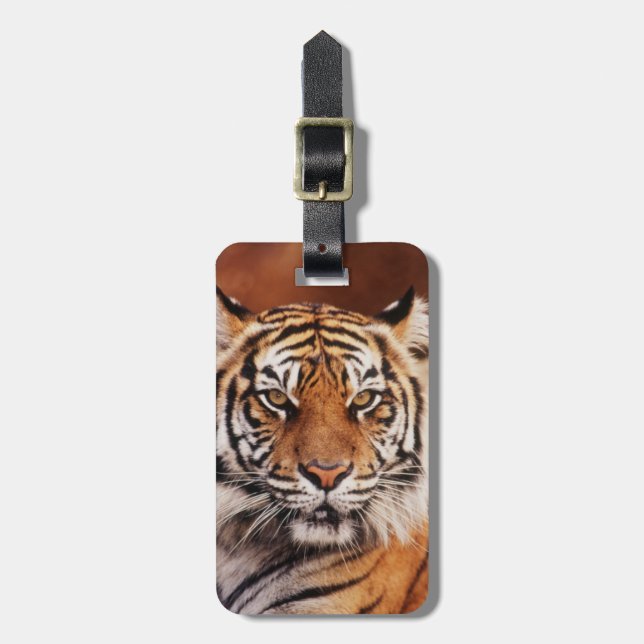 Etiqueta De Bagagem Sumatran Tiger (Frente Vertical)
