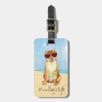 Summer Shiba Inu